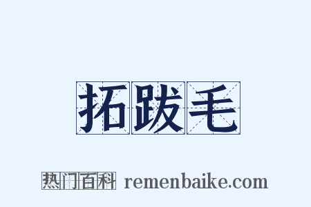 拓跋毛是什么意思的图片